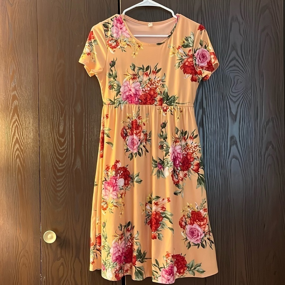 Pink Blush short sleeved peach colored dress with red, pink, green floral. S